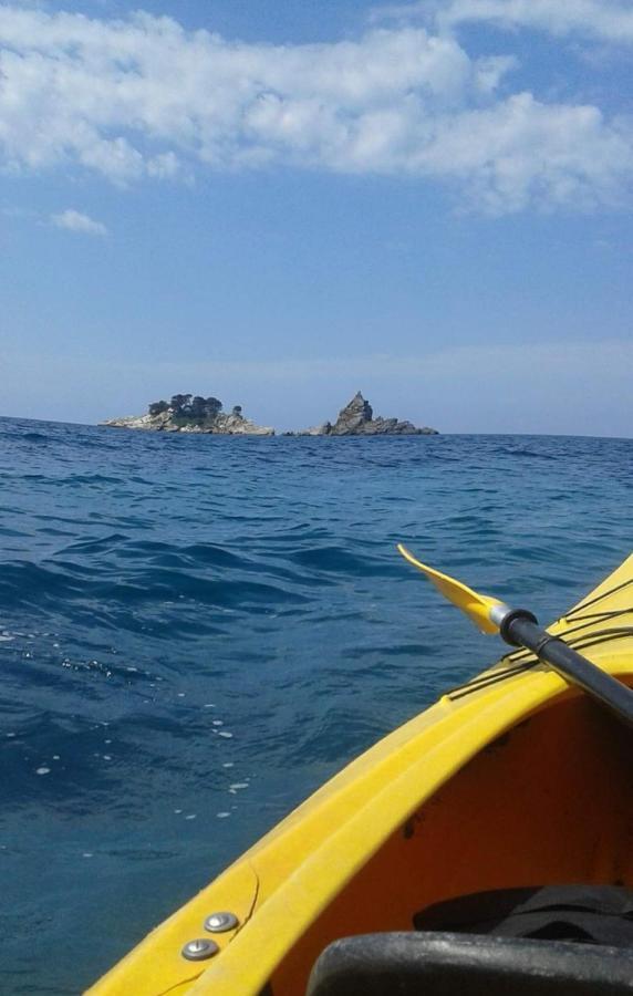 Apartments Teodora Obala Petrovac ภายนอก รูปภาพ